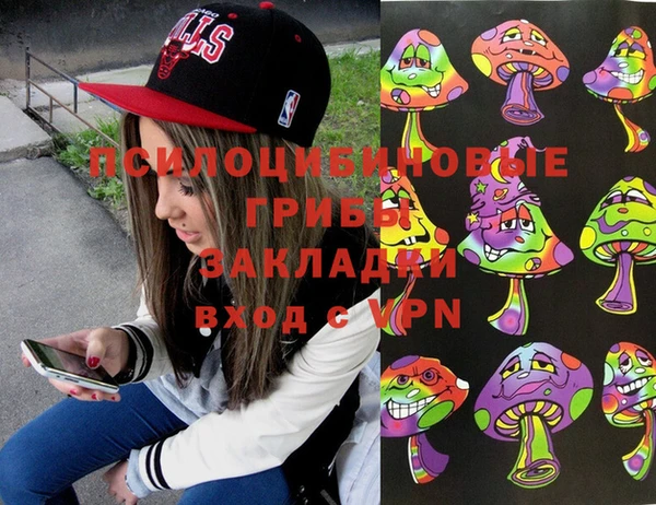 тгк Аркадак