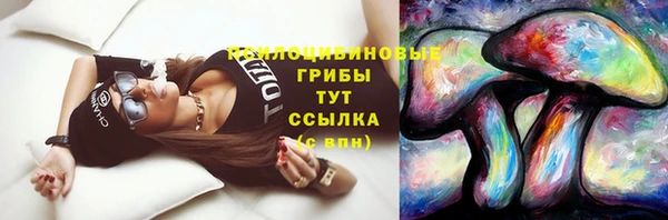 тгк Аркадак