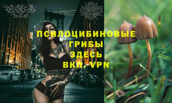 тгк Аркадак