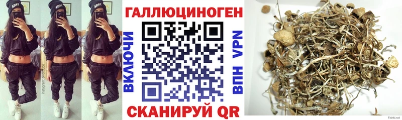 Галлюциногенные грибы MAGIC MUSHROOMS  сколько стоит  Ряжск 